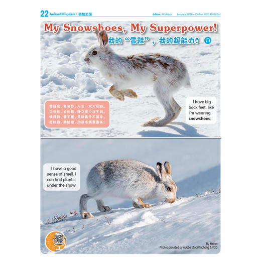 《中国少年英语报》2026年12期征订 商品图11