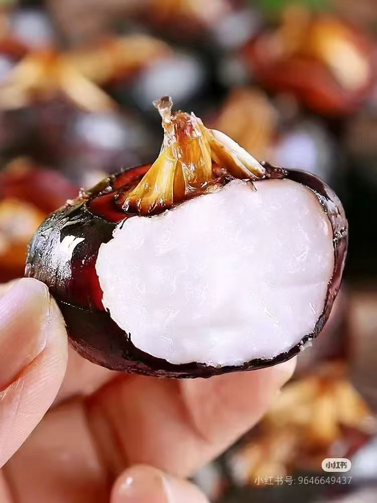 水果马蹄 新鲜采挖季，化渣清甜，又大又甜，清甜爽口，号称“地下雪梨”“江南人参”