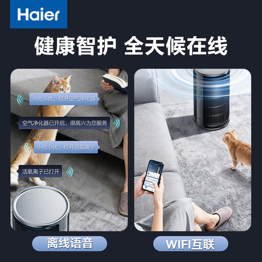 海尔海宝pro宠物净化器家用杀菌消毒除猫狗异味吸猫毛除过敏源暖垫养宠家庭空气净化器KJ550F-PROU1 商品图4