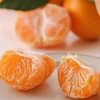正宗涌泉蜜桔 临海橘子 新鲜薄皮 无核蜜桔 商品缩略图11
