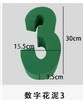 数字花泥（30厘米） 商品缩略图4