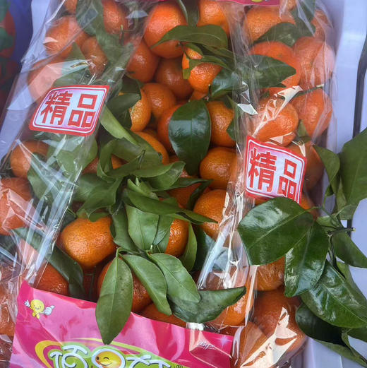 【居家必备纯甜稀缺正宗小砂糖蜜桔】多汁可口，纯甜纯甜，橘子味很正，味道浓郁！ 商品图7