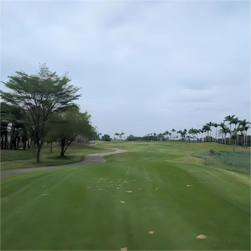 越南·泰光定山乡村俱乐部 Taekwang Jeongsan Country Club | 胡志明高尔夫球场  | 越南高尔夫球场俱乐部 | 东南亚 商品图5