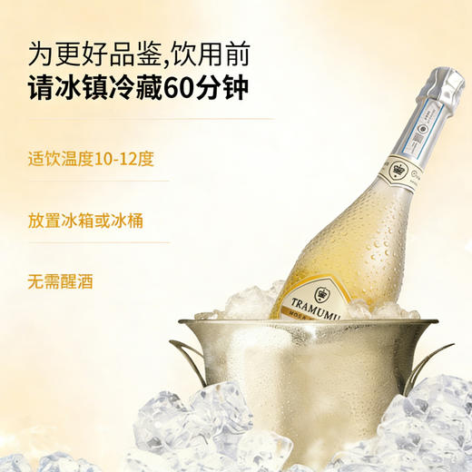 【香槟酒4度低度微醺女士起泡酒】 葡萄酒 果酒红酒佐餐配香槟酒 新年送礼礼物 商品图3