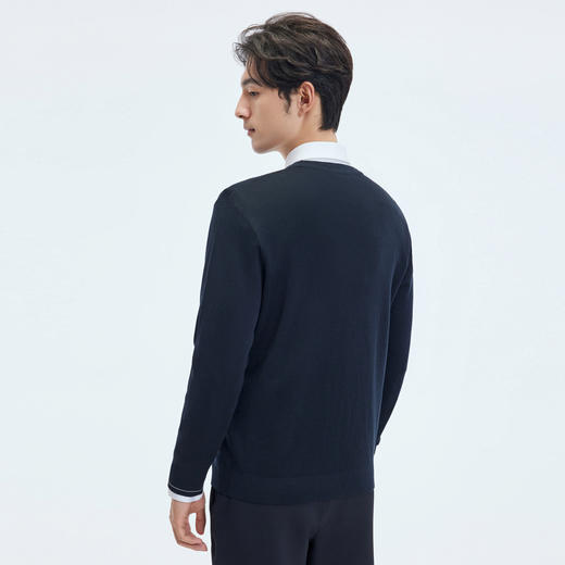 【门店同款】圣得西2025年秋冬季毛衫柔软细腻男款无束缚感针织衫 商品图3