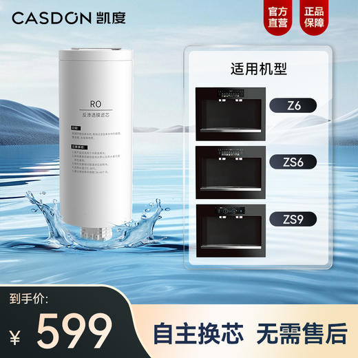 凯度ZS系列原装RO滤芯【适用于Z6/ZS6/ZS9】 商品图0