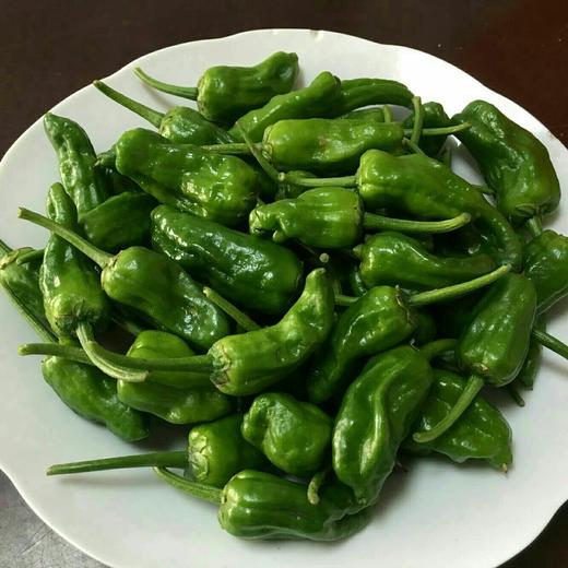 岳西高山土辣椒260g 单份  ±10g 买放心菜就上瑞和泰 商品图0