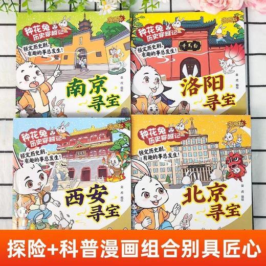 《种花兔历史穿越记》全4册 7-15岁 将传统文化融入惊险故事 给孩子看的寻宝系列 商品图1