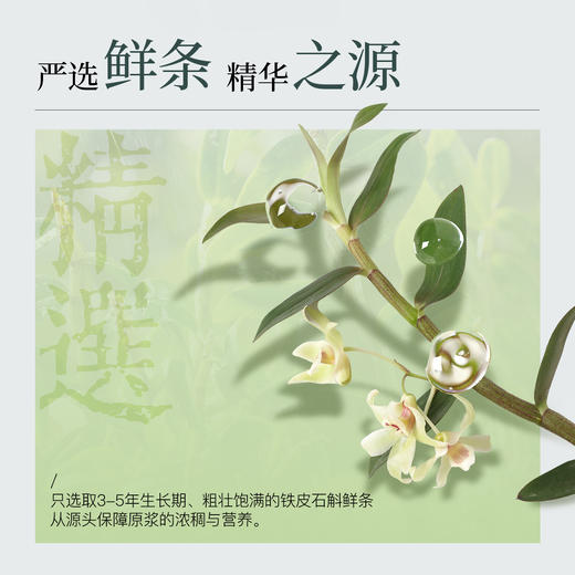 【大眼睛-2月】羽心堂铁皮石斛原浆30ml*8/盒 商品图2