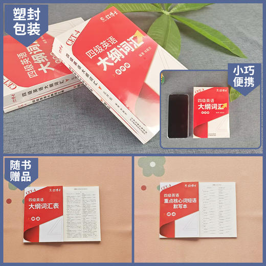 2026.6大学英语四级大纲词汇背诵 商品图3