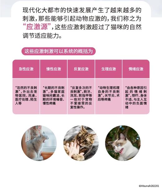 舒欣宝抗焦虑应激营养补充剂 外出就医搬家情绪紧张 10包/盒 商品图1