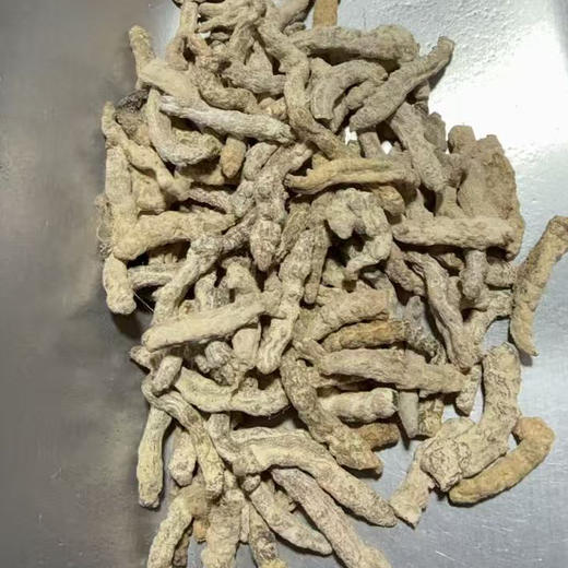 生僵蚕250克  500克  1kg 商品图2