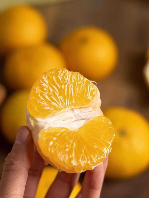 福建南平建阳 甜桔柚 商品图11