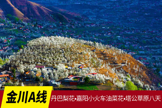 3月16日【金川A线】丹巴梨花•嘉阳小火车油菜花•塔公草原八天 商品图0