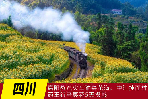 3.22出发【四川】嘉阳蒸汽火车油菜花海、中江挂面村、药王谷辛夷花摄影五天 商品图0