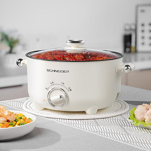 施耐德多功能电煮锅SWK-XDZ02 商品图1