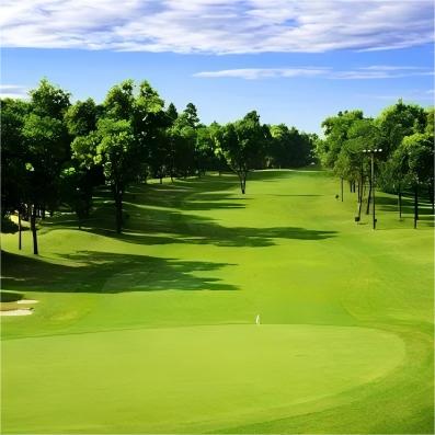 越南·泰光定山乡村俱乐部 Taekwang Jeongsan Country Club | 胡志明高尔夫球场  | 越南高尔夫球场俱乐部 | 东南亚 商品图2