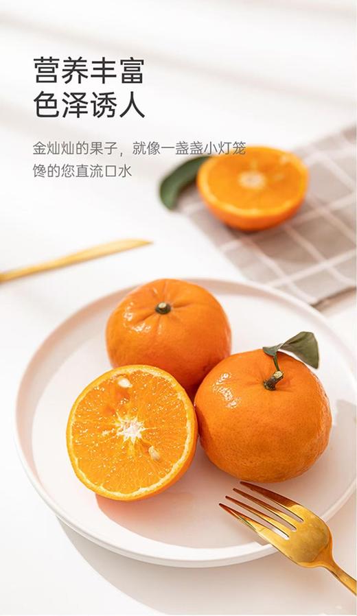 【云南高原虎柑】野得生猛·甜得纯粹‼  一口爆汁，而且纯甜，太好吃啦，一口吃尽柑、桔绝妙口感的神仙水果~ 商品图9