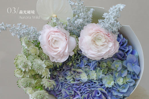 觅光之境 Luminous Field 商品图3