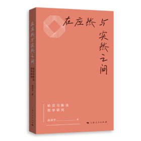 在应然与实然之间——哈贝马斯法哲学研究