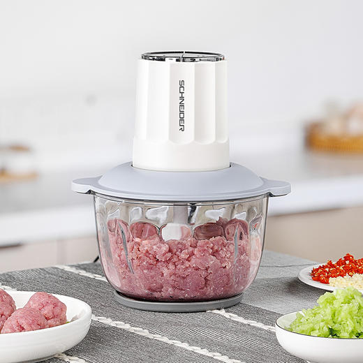 施耐德绞肉机	SWK-XJ01 商品图2