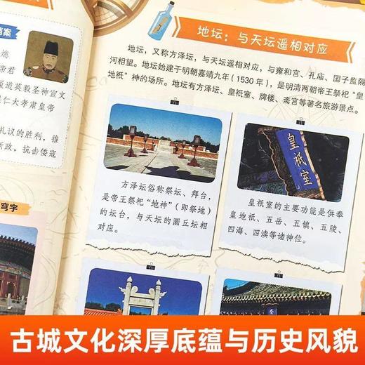 《种花兔历史穿越记》全4册 7-15岁 将传统文化融入惊险故事 给孩子看的寻宝系列 商品图4