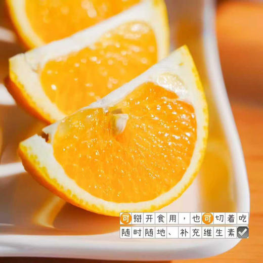 福建南平建阳 甜桔柚 商品图12