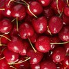【京东包邮❗️新鲜到家🔥原箱智利车厘子】飘洋过海的情谊，从智利到中国，优选精品进口车厘子，当季应季水果，营养美味又健康，老人/孕妇/水果，新鲜水果大樱桃车厘子L 商品缩略图4