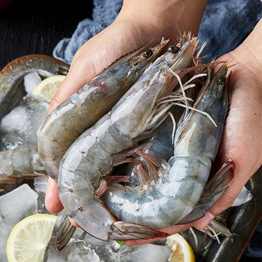 首鲜码头-海之星 商品图2