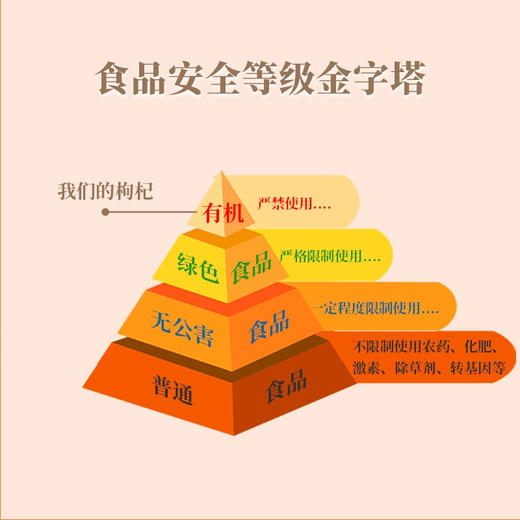 有机枸杞子干果 宁夏头茬特级枸杞 富硒 免洗 泡水煲汤优选 商品图5