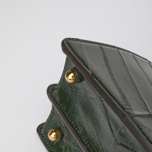 ROMI STUDIO首饰袋鳗鱼皮独特天然纹理植鞣托特包RWDLP32026 商品图4