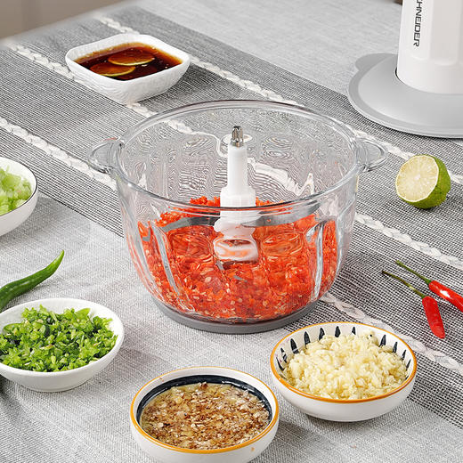 施耐德绞肉机	SWK-XJ01 商品图5