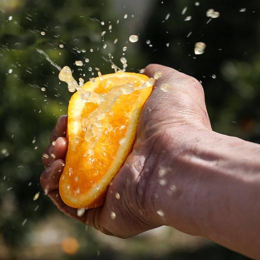 【秒杀❗29.9抢9斤🔥正宗湖南麻阳冰糖橙】甜蜜多汁，徒手轻捏就能榨出汁，营养丰富！新鲜橘子当季水果贡柑橘蜜桔，非沃柑砂糖橘整箱包邮，2026马年春节新年货礼物L 商品图4