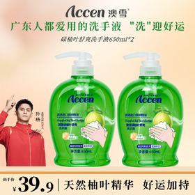 澳雪碌柚叶舒爽洗手液650ml*2