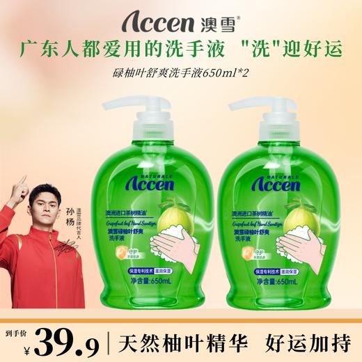 澳雪碌柚叶舒爽洗手液650ml*2 商品图0