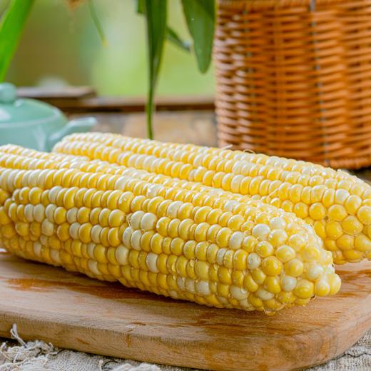 【云南金银水果玉米】皮薄汁多、玉米粒颗颗爆浆 商品图2