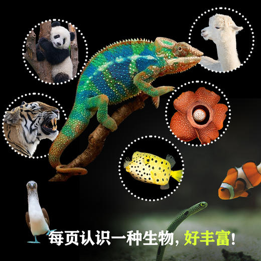 新晋爆款-儿童纸上纪录片《小自然+小植物》 商品图1