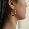 【刘亦菲&戚薇同款】Ancient Rome古罗马时期 | 金丝耳圈 商品缩略图8