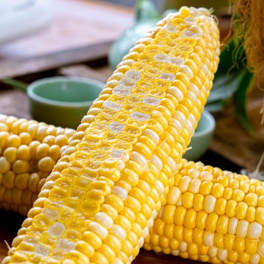 【云南金银水果玉米】皮薄汁多、玉米粒颗颗爆浆 商品图3