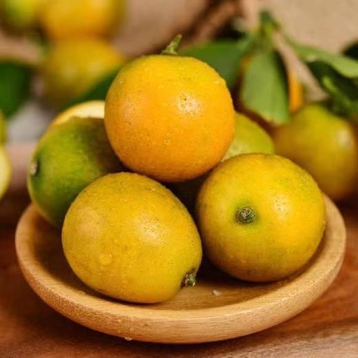 【正宗广西❗️桂林脆皮金桔】脆皮金桔，皮薄脆口，不呛不辣，多汁细腻，颠覆传统金桔口感，新鲜采摘儿童孕妇水果蜜桔柑橘子L 商品图2