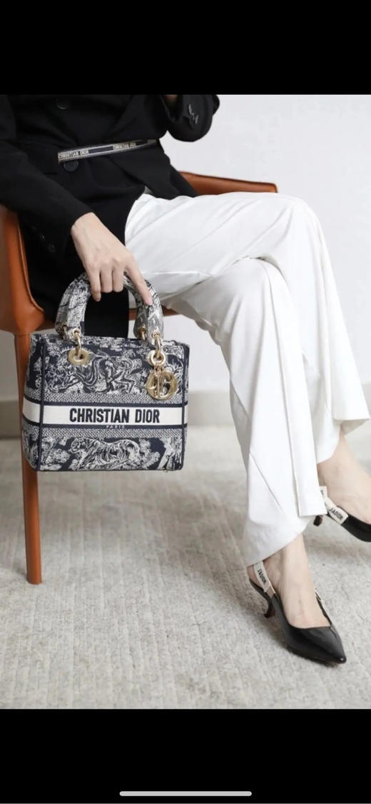 Dior 黑色 茹伊印花拼刺绣logo 帆布  五格 动物图案 戴妃包 商品图2