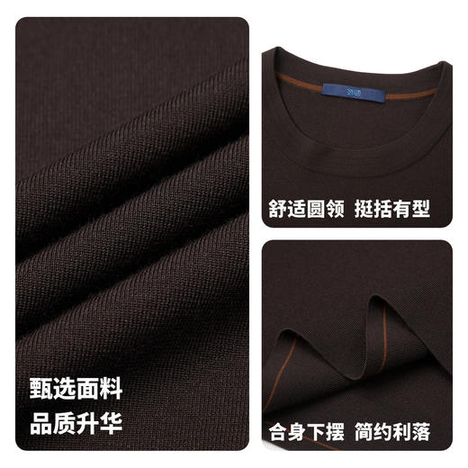 【门店同款】圣得西2025年秋冬季毛衫含绵羊毛男士舒适圆领针织衫 商品图4