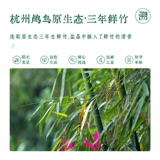 全食物日记 升级三烤竹盐 180克 商品图3