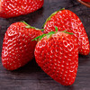 【头茬新鲜❗️四川大凉山红颜99草莓】红颜奶油草莓「吃出奶香味的草莓」精挑细选，甜脆多汁，鲜嫩爽口，果肉饱满，特产冰冻草莓红颜九九草莓新鲜99奶油草莓L 商品缩略图1