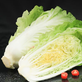 高原黄白菜400g 单份  ±20g 买放心菜就上瑞和泰