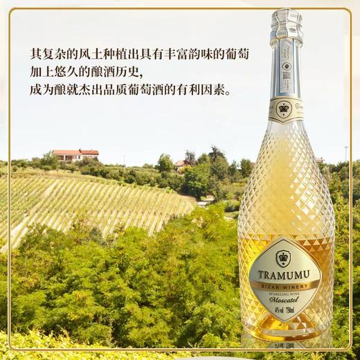 【香槟酒4度低度微醺女士起泡酒】 葡萄酒 果酒红酒佐餐配香槟酒 新年送礼礼物 商品图1