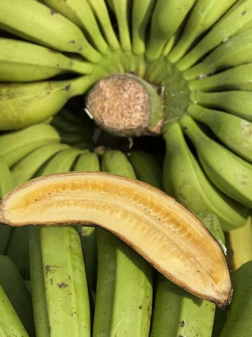 【俊发城百合苑小店自提 不发快递】普洱大山深处的绿皮香蕉  品质优良、果肉滑嫩、甘甜清香、营养丰富，肉质细腻粉糯、清香恰人 商品图0