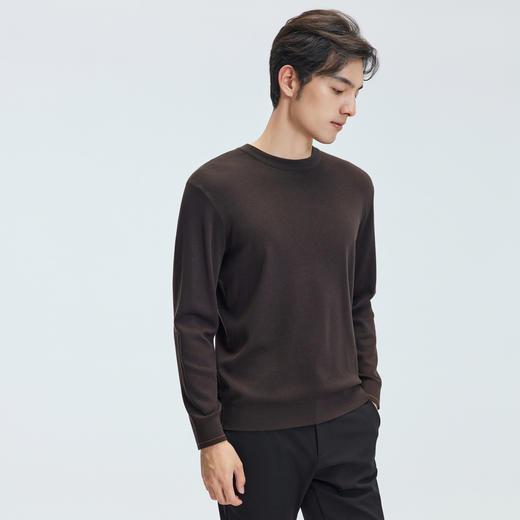 【门店同款】圣得西2025年秋冬季毛衫含绵羊毛男士舒适圆领针织衫 商品图2