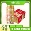 青岛啤酒（TsingTao）马年生肖啤酒 花骢献瑞 500ml*12罐 花骢献瑞 商品缩略图0
