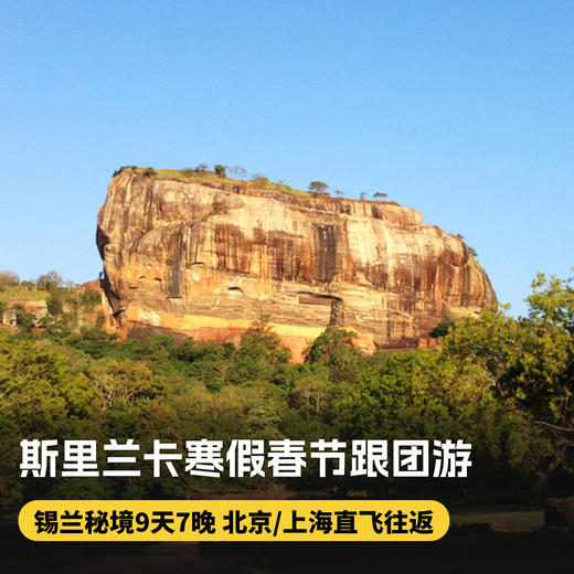 9天7晚【斯里兰卡寒假春节9天7晚跟团游】寒假/春节团期！北京/上海直飞往返科伦坡！含全程星级酒店住宿、当地美食，全程纯玩无购物，精华景点一网打尽，体验美瑞莎观鲸，来一场与海洋精灵的邂逅~ 商品图0